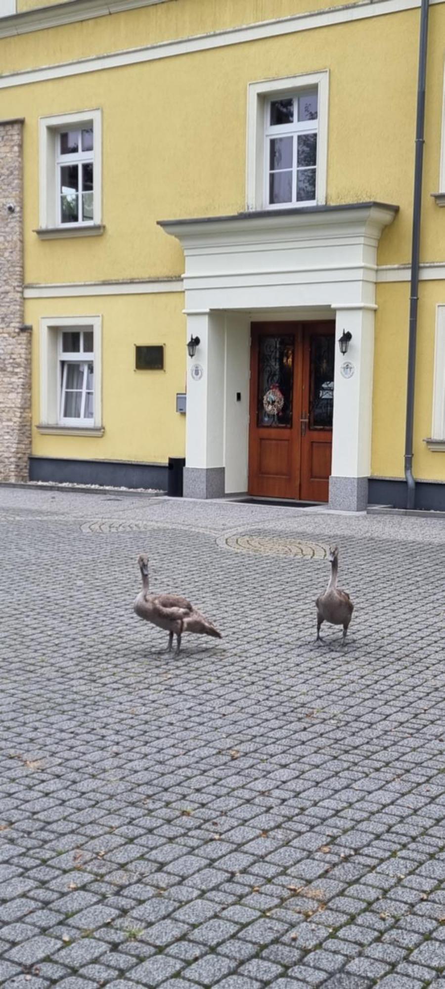 Palac Lucja Bb Zakrzow  Exterior photo