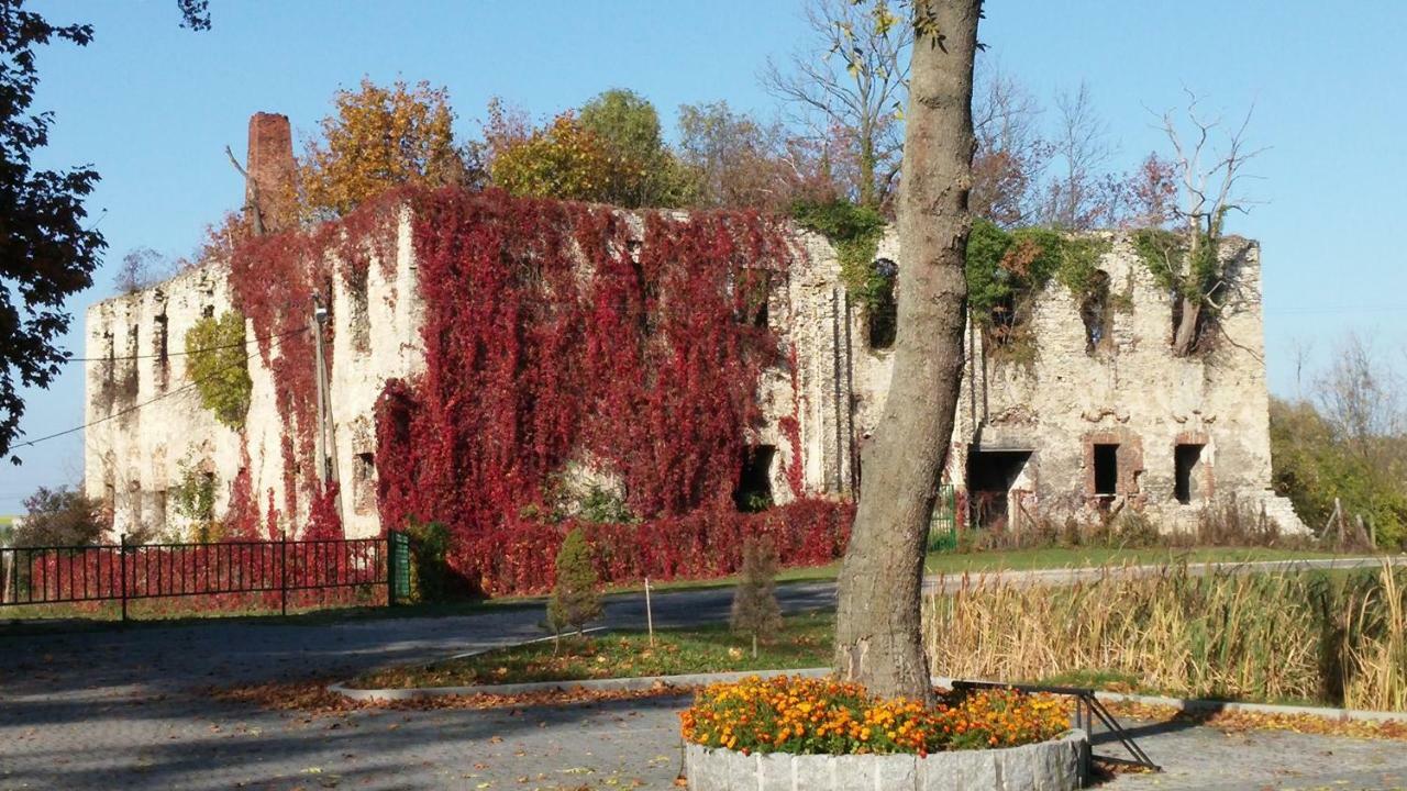 Palac Lucja Bb Zakrzow  Exterior photo