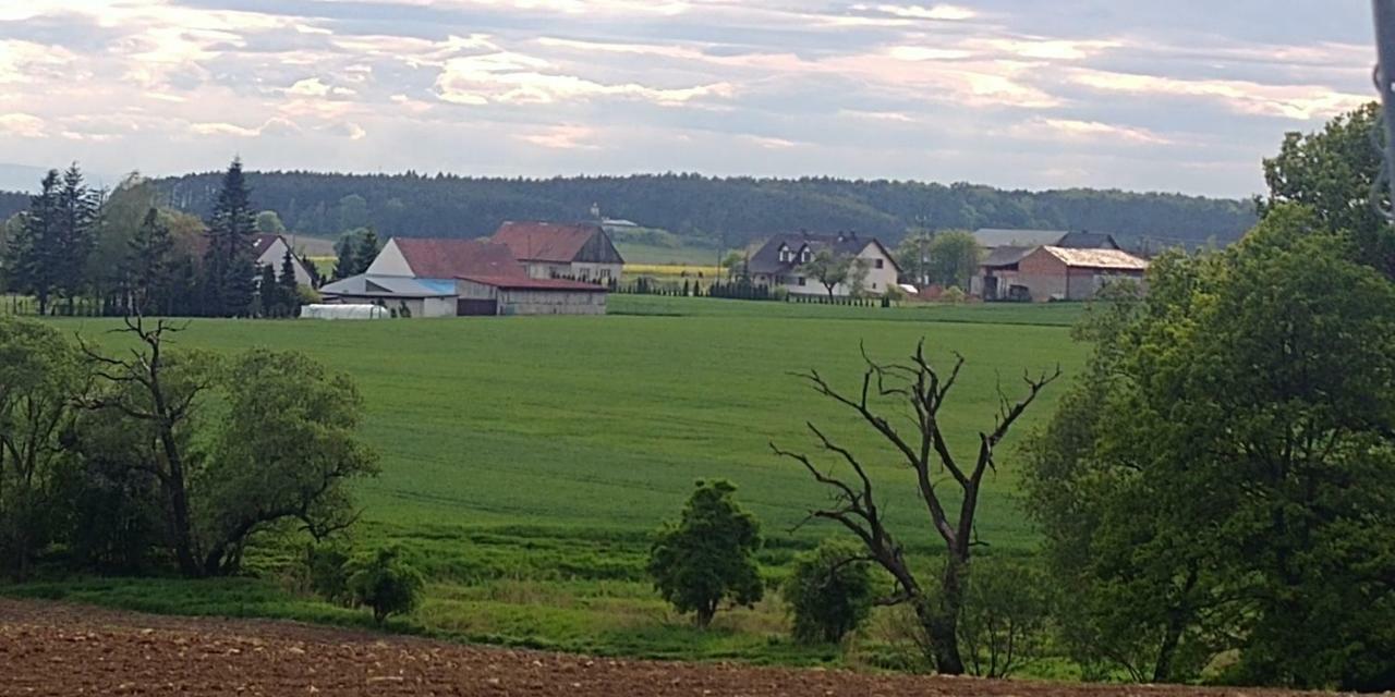 Palac Lucja Bb Zakrzow  Exterior photo